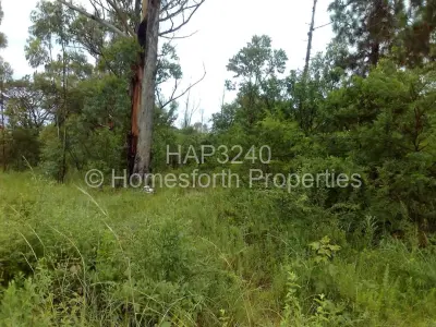 Residential Stand For Sale in Nyanga