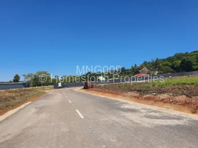 Stand for Sale in Borrowdale Brooke
