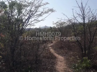 Land for Sale in Fern Valley