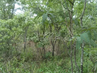 Land for Sale in Darwendale