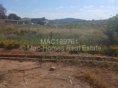 Stand for Sale in The Grange