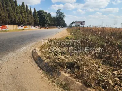 Land for Sale in Mount Hampden