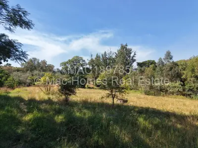 Stand for Sale in Borrowdale Brooke
