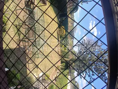 Flat/Apartment to Rent in Mabelreign