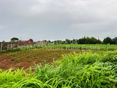 Residential Stand For Sale in Norton