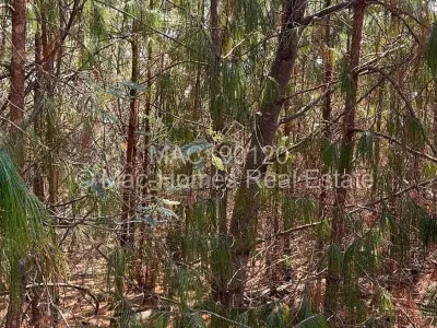 Farm/Plot For Sale in Juliasdale