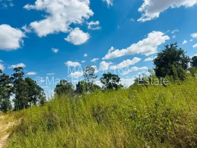 Commercial Stand For Sale in Ruwa