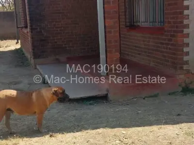 Cottage/Garden Flat For Rent in Goodhope