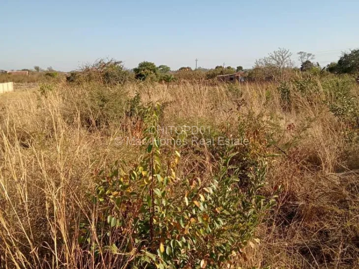 Stand for Sale in Ruwa