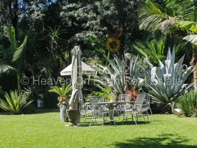 Commercial Property for Sale in Highlands