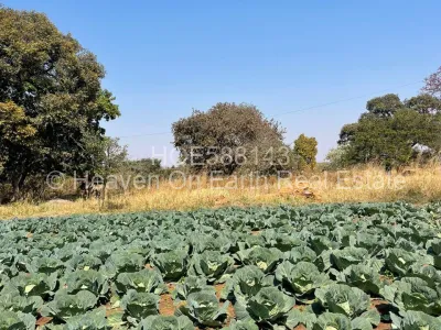 Farm for Sale in Goromonzi