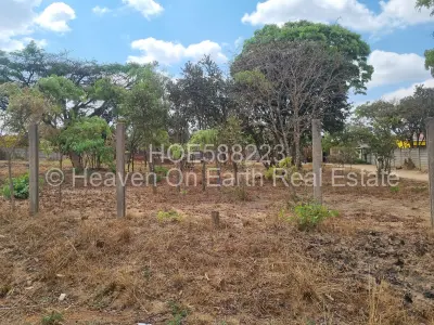 Stand for Sale in Paradise Park