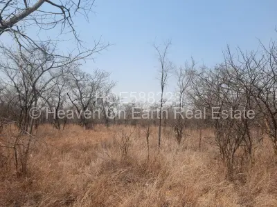 Farm/Plot For Sale in Chinhoyi