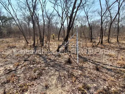 Farm/Plot For Sale in Chegutu