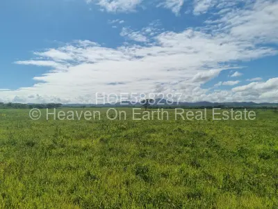 Farm/Plot For Sale in Masvingo