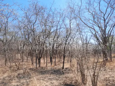 Farm/Plot For Sale in Chinhoyi