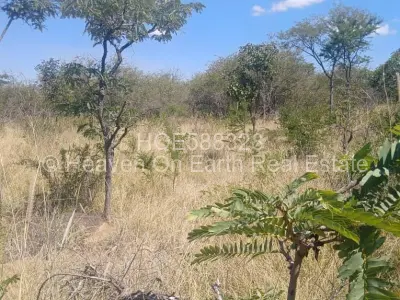 Farm/Plot For Sale in Selous