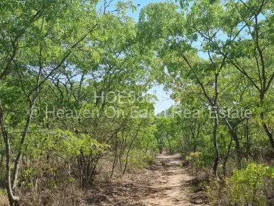 Farm/Plot For Sale in Masvingo