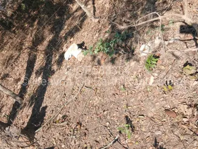 Residential Stand For Sale in Marondera
