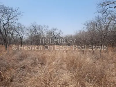 Farm/Plot For Sale in Selous