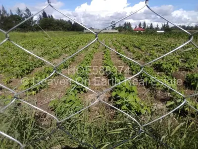 Residential Stand For Sale in Lynfield