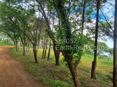 Land for Sale in Glen Forest