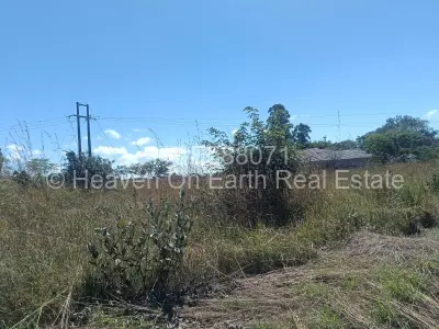 Stand for Sale in Zimre Park