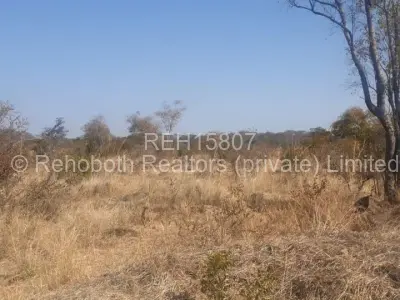 Farm/Plot For Sale in Selous