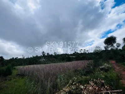 Farm for Sale in Penhalonga