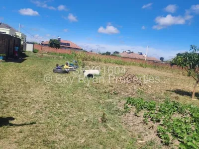 Stand for Sale in Goodhope