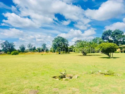 Land for Sale in Hatfield