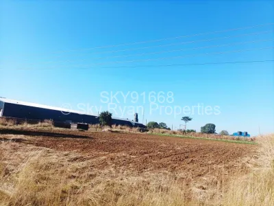 Stand for Sale in Norton