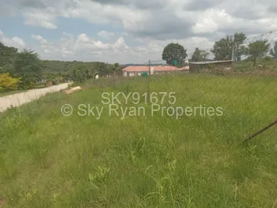 Stand for Sale in Gletwin Park