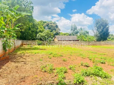 Stand for Sale in Chisipite