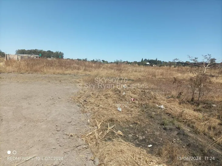 Stand for Sale in Whitecliff