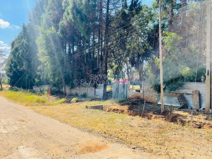 Stand for Sale in Quinnington