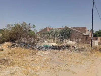 Stand for Sale in Zimre Park