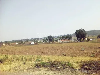 Land for Sale in The Grange