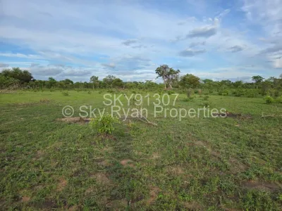 Land for Sale in Kadoma