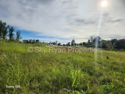 Land for Sale in Hatfield