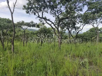 Stand for Sale in Glen Lorne