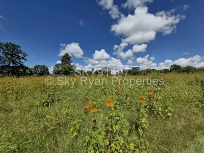Land for Sale in Greystone Park