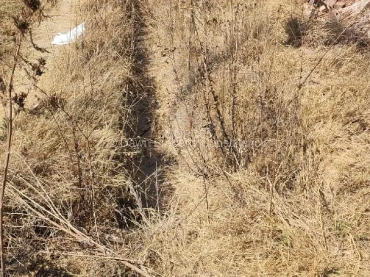 Other Commercial For Sale in Damofalls