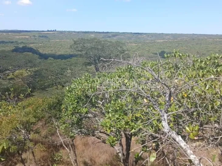 Farm/Plot For Sale in Goromonzi