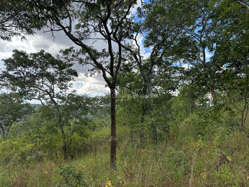 Land For Sale in Glen Lorne Pam Golding Properties