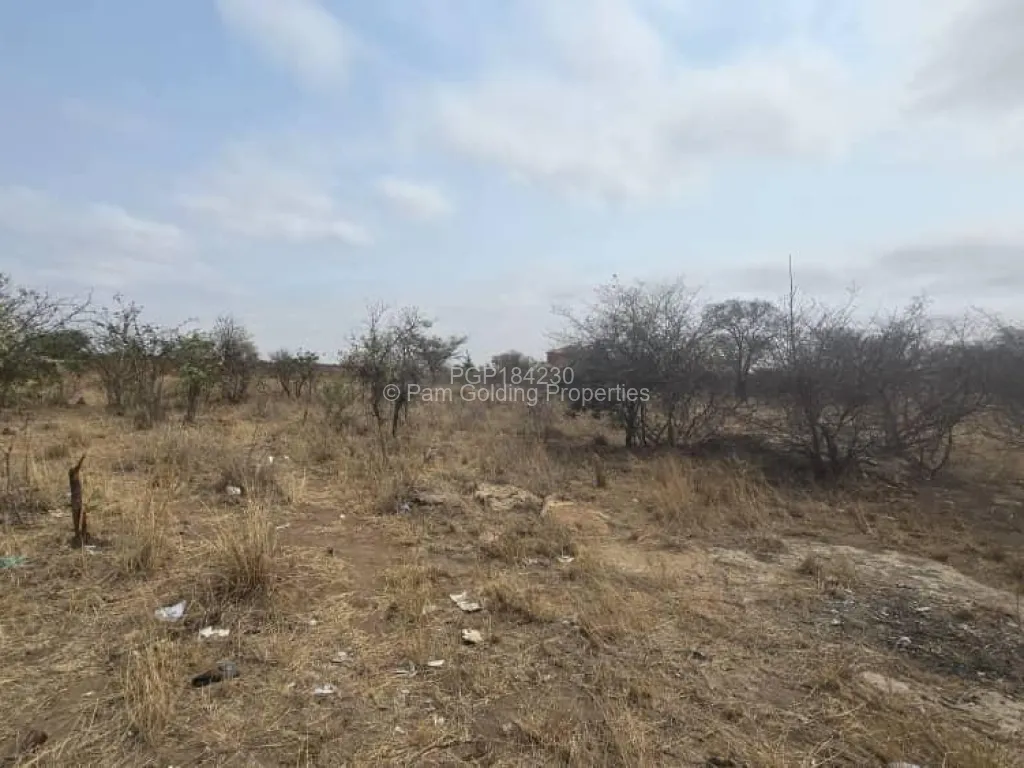 Land For Sale in Burnside Pam Golding Properties