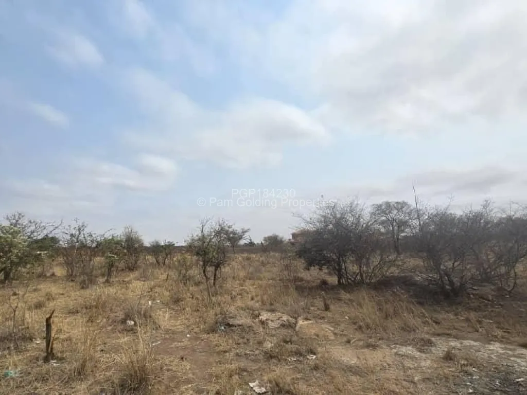 Land For Sale in Burnside Pam Golding Properties