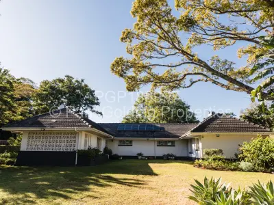 House for Sale in Alexandra Park