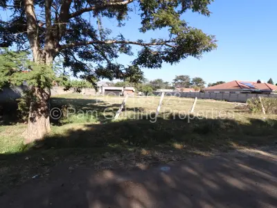 Stand for Sale in Marlborough