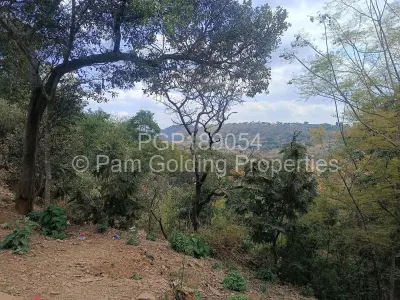 Stand for Sale in Shawasha Hills